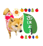 mimi♡♡♡mimi.3（個別スタンプ：1）