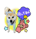 mimi♡♡♡mimi.3（個別スタンプ：11）