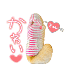 mimi♡♡♡mimi.3（個別スタンプ：14）