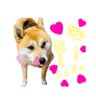 mimi♡♡♡mimi.3（個別スタンプ：17）