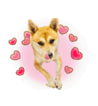mimi♡♡♡mimi.3（個別スタンプ：27）