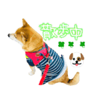 mimi♡♡♡mimi.3（個別スタンプ：33）