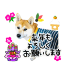 mimi♡♡♡mimi.3（個別スタンプ：40）