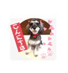 ななちゃんすたんぷ②（個別スタンプ：1）