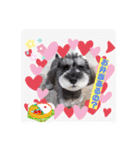 ななちゃんすたんぷ②（個別スタンプ：3）