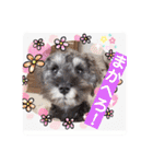 ななちゃんすたんぷ②（個別スタンプ：9）