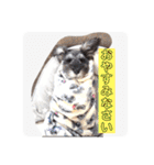 ななちゃんすたんぷ②（個別スタンプ：13）
