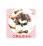 ななちゃんすたんぷ②（個別スタンプ：14）