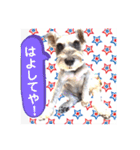 ななちゃんすたんぷ②（個別スタンプ：17）