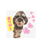 ななちゃんすたんぷ②（個別スタンプ：20）
