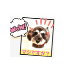 ななちゃんすたんぷ②（個別スタンプ：21）