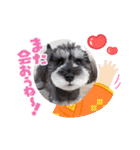 ななちゃんすたんぷ②（個別スタンプ：24）