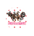 ななちゃんすたんぷ②（個別スタンプ：29）