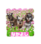 ななちゃんすたんぷ②（個別スタンプ：32）