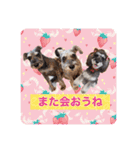 ななちゃんすたんぷ②（個別スタンプ：33）