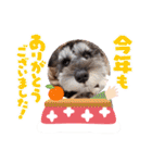 ななちゃんすたんぷ②（個別スタンプ：36）