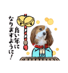 わんこの新年（個別スタンプ：1）