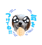 わんこの新年（個別スタンプ：10）