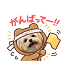 わんこの新年（個別スタンプ：17）