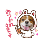 わんこの新年（個別スタンプ：18）