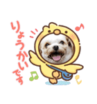 わんこの新年（個別スタンプ：20）
