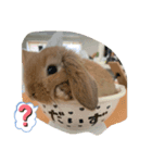 うさぎスタンプ202012（個別スタンプ：3）