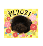 Qoo20201227（個別スタンプ：6）
