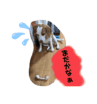 マリ＆カツ（個別スタンプ：9）