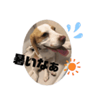 マリ＆カツ（個別スタンプ：13）