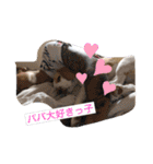 マリ＆カツ（個別スタンプ：17）
