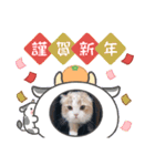 マリ＆カツ②（個別スタンプ：4）