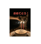 佐助のスタンプ3（個別スタンプ：1）