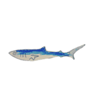 ぼくの魚たち（個別スタンプ：3）