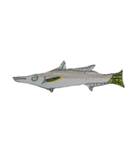 ぼくの魚たち（個別スタンプ：6）