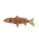 ぼくの魚たち（個別スタンプ：9）