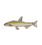 ぼくの魚たち（個別スタンプ：10）
