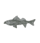 ぼくの魚たち（個別スタンプ：11）