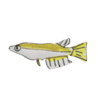 ぼくの魚たち（個別スタンプ：15）