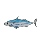 ぼくの魚たち2（個別スタンプ：1）