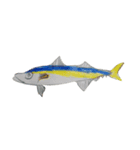 ぼくの魚たち2（個別スタンプ：2）