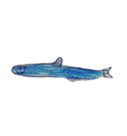 ぼくの魚たち2（個別スタンプ：7）