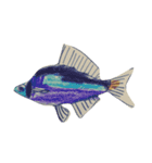 ぼくの魚たち3（個別スタンプ：1）
