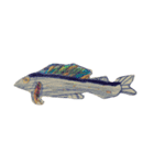 ぼくの魚たち3（個別スタンプ：3）