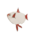 ぼくの魚たち3（個別スタンプ：6）