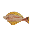 ぼくの魚たち3（個別スタンプ：7）