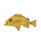 ぼくの魚たち3（個別スタンプ：13）