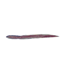 ぼくの魚たち3（個別スタンプ：14）