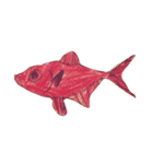 ぼくの魚たち3（個別スタンプ：15）