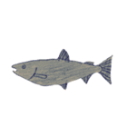 ぼくの魚たち3（個別スタンプ：16）