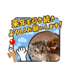 愛月と空パート8（個別スタンプ：1）